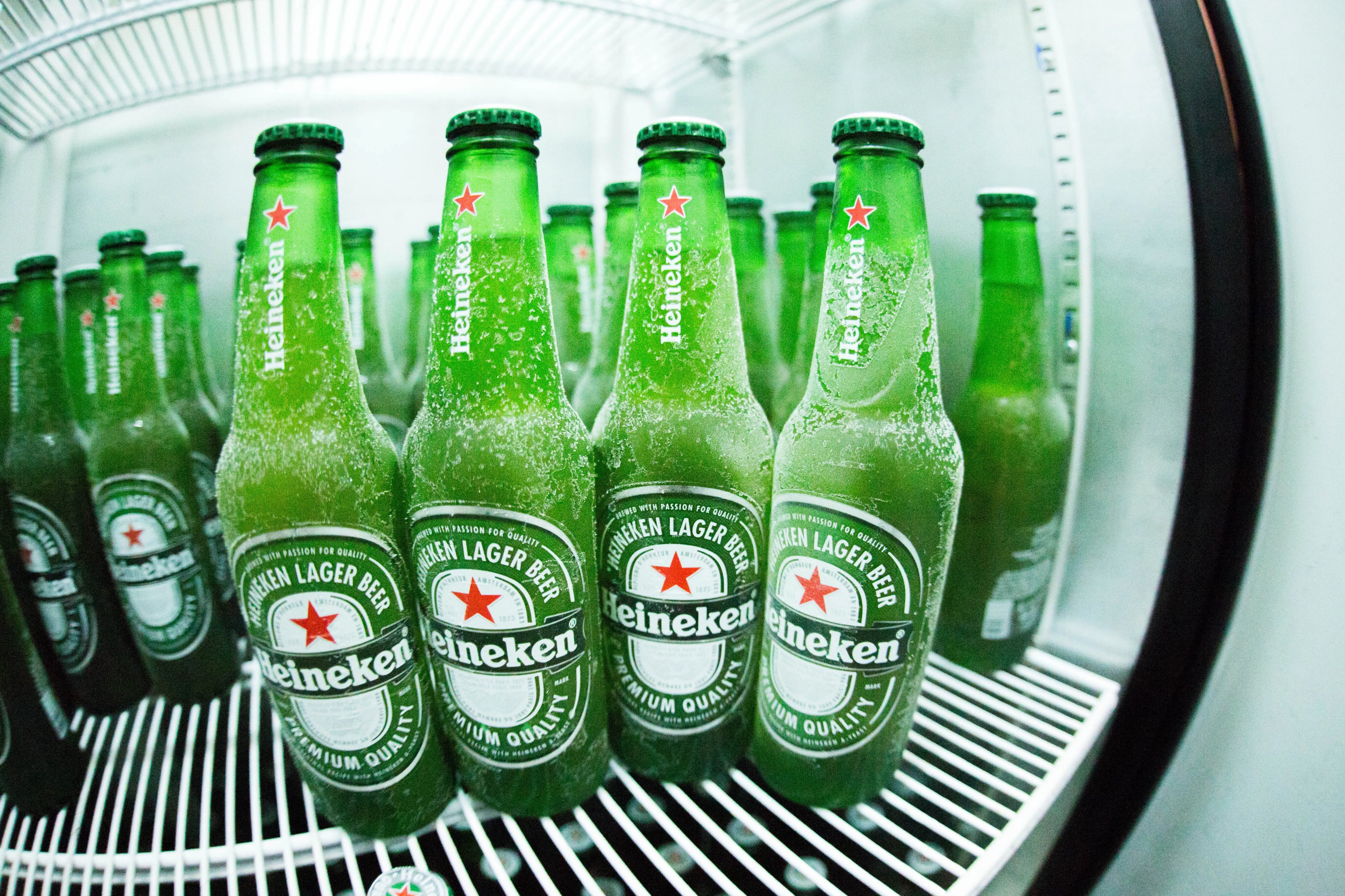 HEINEKEN BOTTLES LOOSE 24PK